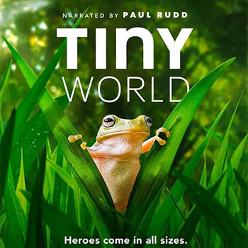 小小世界《Tiny World》第1季+第
